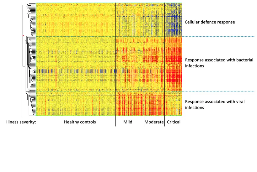 Investigating differences in host immune responses to understand why severities of illness differ. Shown here are 231 transcripts in blood from influenza patients